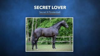 Secret Lover - Secret X Fürstenball