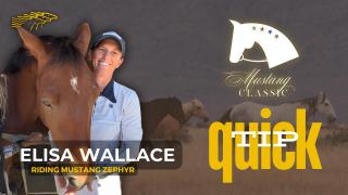 Mustang Classic QUICK TIP - Elisa Wallace riding Zephyr