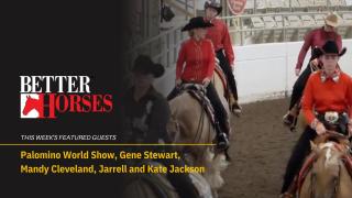 Better Horses featuring Palomino World Show, Gene Stewart, Mandy Cleveland, Jarrell & Kate Jackson