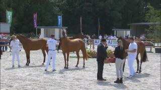 Nationale merriekeuring - Springmerries (groep 1)