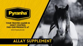 Pyranha Animal Health -Shannon Cobbs - Allay Supplements