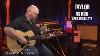  Taylor's Limited GS Mini's with African Ziricote!-