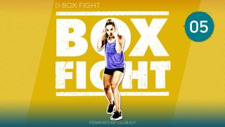 BoxFight 5