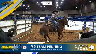 USTPA #5 Team Penning EQUUS Championship Round Cowtown Showdown FT WORTH, TX - AUG 19, 2022