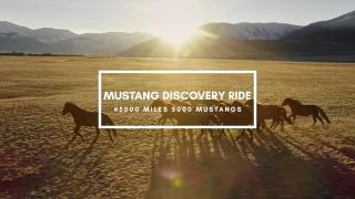 5000 Miles - 5000 Mustangs Episode 8 Julianne Neal Interview