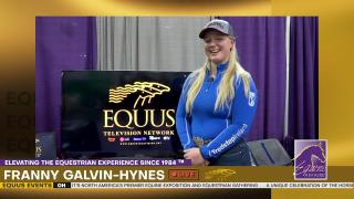 EQUINE AFFAIRE Franny Galvin-Hynes on EQUUS