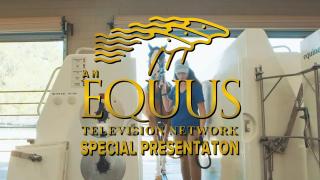 EQUUS PRESENTS Performance Equine Veterinary Services -  Sacroiliac Injections 