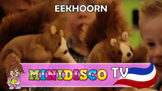 Eekhoorn op het kinderdagverblijf