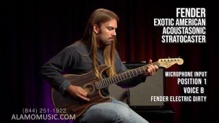 Fender Exotic Acoustasonic Stratocaster Ziricote Tone For All Your Needs