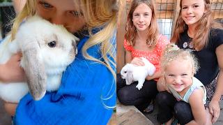 VAARWEL KONiJNTJE LUCKY, DiT iS JE NiEUWE THUiS! | Bellinga Vlog #2582