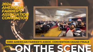 On the Scene at the 2024 American Farrier's Association Convention with Diana De Rosa