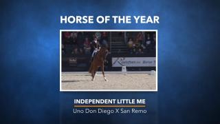 Gelders paard van het jaar - Independent Little Me