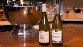 Ondernemerslounge (RTLZ) | 4.2.A | Opening en afsluiting bij Vinyo | PLUS