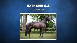 Extreme U.S. - Escamillo x Vivaldi