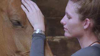 TRIFF Award Winner / 24 Habits of the Ridden Horse In Pain