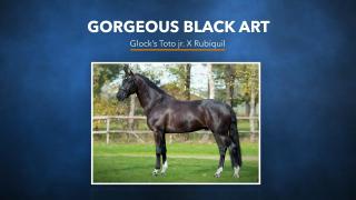 42. Gorgeous Black Art