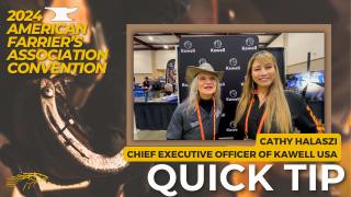 Cathy Halaszi, Chief Executive Officer of Kawell USA - AFA Convention Interview with Diana De Rosa