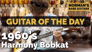 1960's Harmony Bobkat