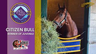 Citizen Bull Winner of Juvenile - 2024 Breeder's Cup with Louisa Barton