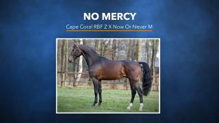 No Mercy - Cape Coral RBF Z x Now or Never M