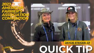 Jaycie Steiger Quick Tip - American Farrier's Association Convention