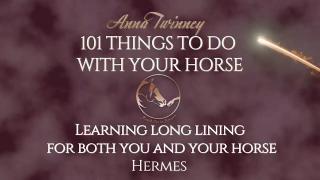 101 Things To Do With Your Horse  - Learning Long Lines 