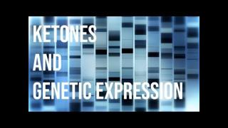 Keto 101 - Ketones and Genetic Expression