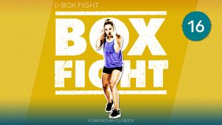 Box Fight 16