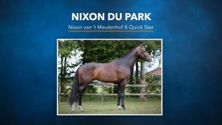 Nixon Du Park - Nixon van 't Meulenhof X Quick Star