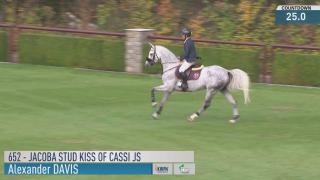 652. Jacoba Stud Kiss Of Cassi JS