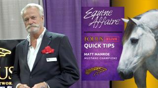 QUICK TIP Matt Manroe of Mustang Champions - 2023 EQUINE AFFAIRE in Columbus, OH 