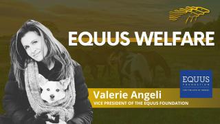 Valerie Angeli VP of The EQUUS Foundation Interview with Jacqueline Taylor