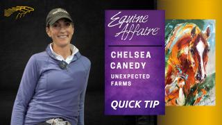 Chelsea Canedy  - Unexpected Farms Interview with Diana De Rosa - Equine Affaire