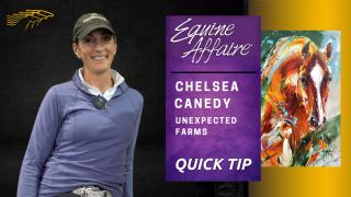 Chelsea Canedy - Unexpected Farms Interview with Diana De Rosa - Equine Affaire