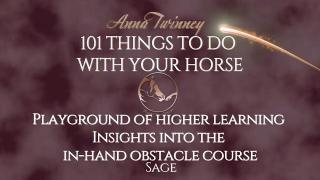 101 Things To Do with Your Horse -  Insights Into The In Hand Obstacle Course