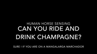 Riding and drinking a glass of champagne?