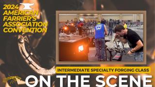 On the Scene at the 2024 American Farrier's Association Convention with Diana De Rosa