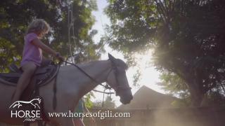 Horse Habit TV Presents Horses of Gilli - Horsemanship