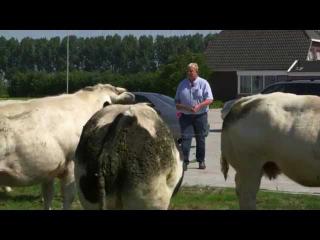 Ontmoet van der Weerd Grafhorst B.V.