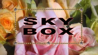 De Skybox
