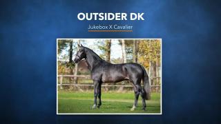 09. Outsider DK