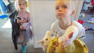 LUCiLLA & LUAN GAAN ELKAARS KAMER OPRUiMEN! | Bellinga Vlog #1893