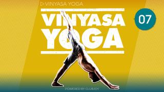 Vinyasa Yoga 7