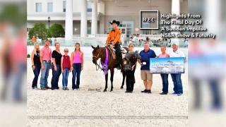 Highlights From The Final Day Of A Sudden Impulse NSBA Show & Futurity at WEC
