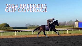 Breeders' Cup Special 2024 - The Ocala-Marion County Connection