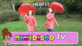 Herfst - In het bos