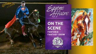 On the Scene - The Equine Affaire Fantasia Fantasy Show