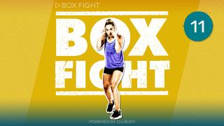BoxFight 11