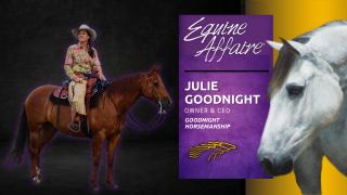 Julie Goodnight Owner & CEO of Goodnight Horsemanship Equine Affaire Interview with Diana De Rosa