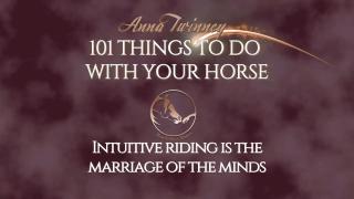 101 Things to Do with Your Horse -  Intuitive Riding Marriage  